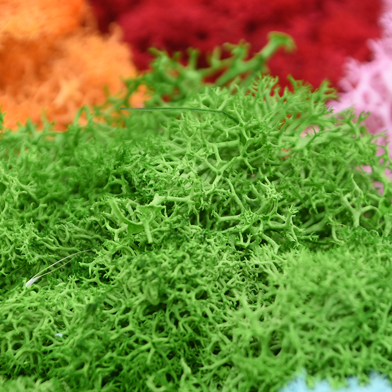 20/40g Artificial Green Plants - Terrarium Moss Art review and price