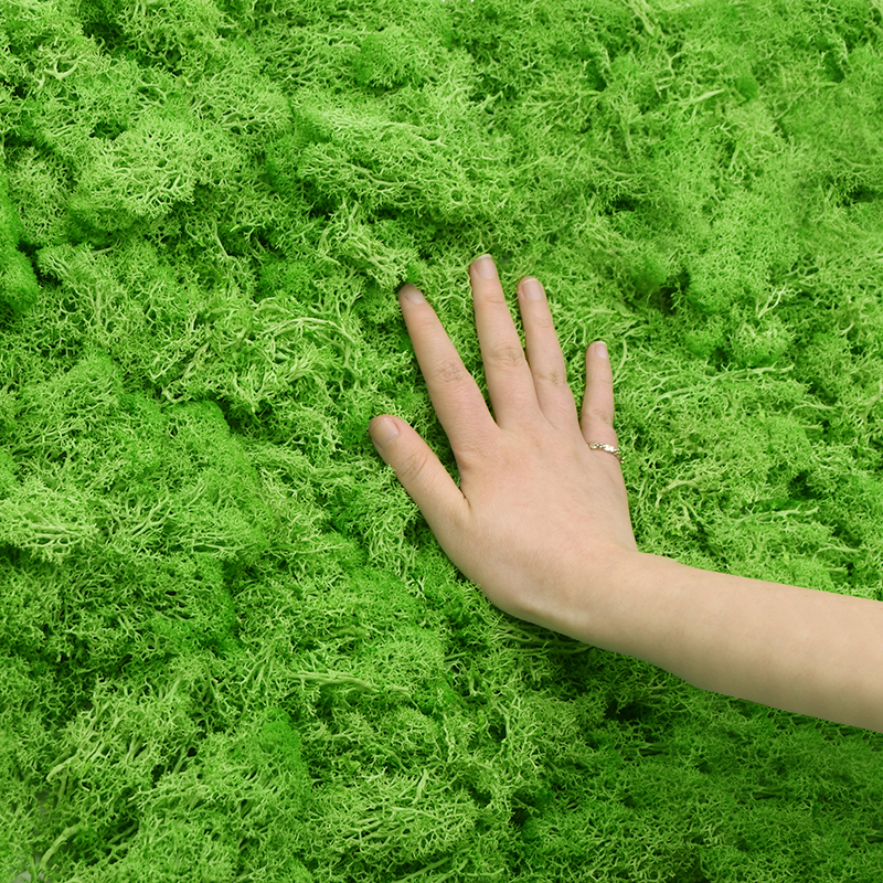 20/40g Artificial Green Plants - Terrarium Moss Art review and price