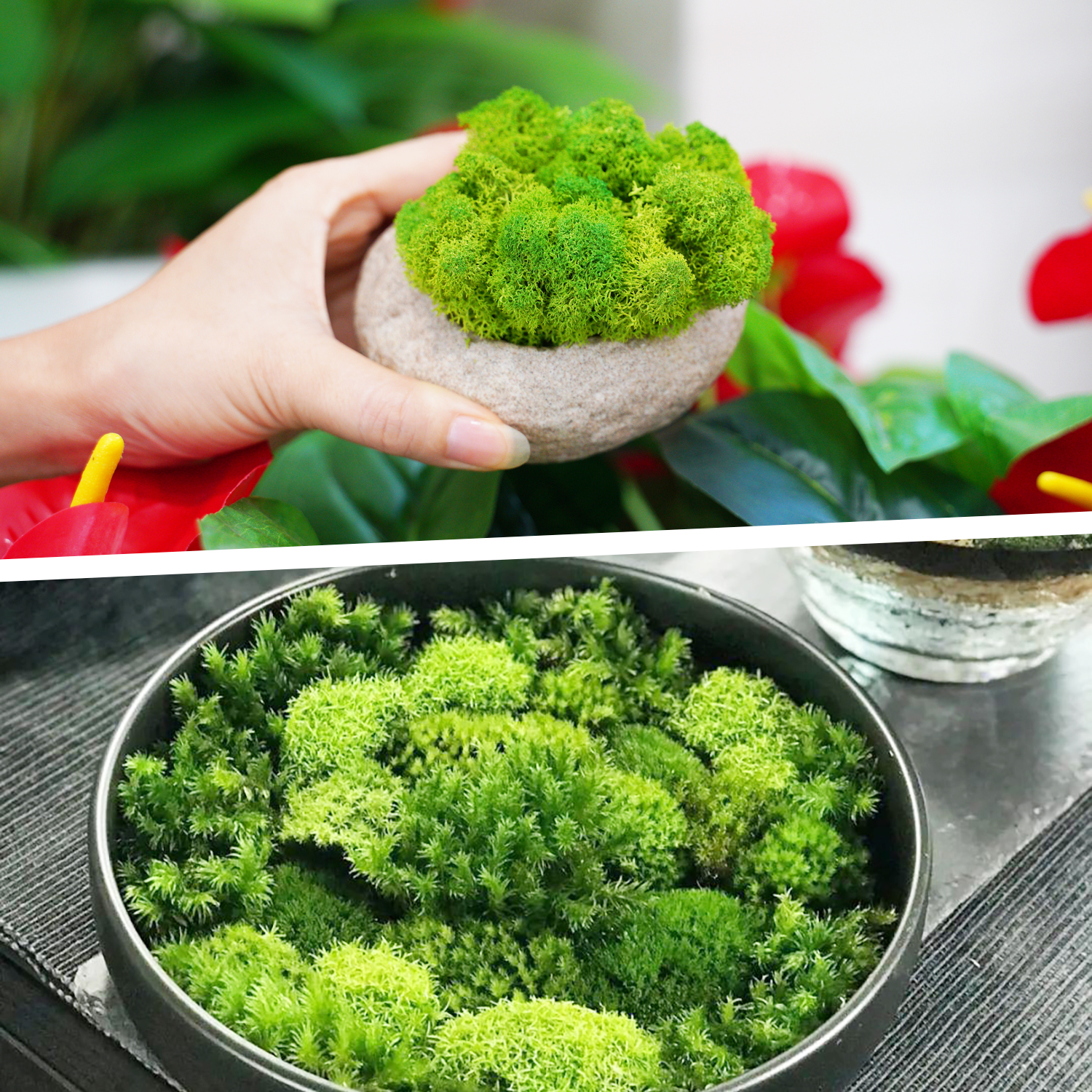 Artificial Green Plants Eterna - Terrarium Moss Art review and price