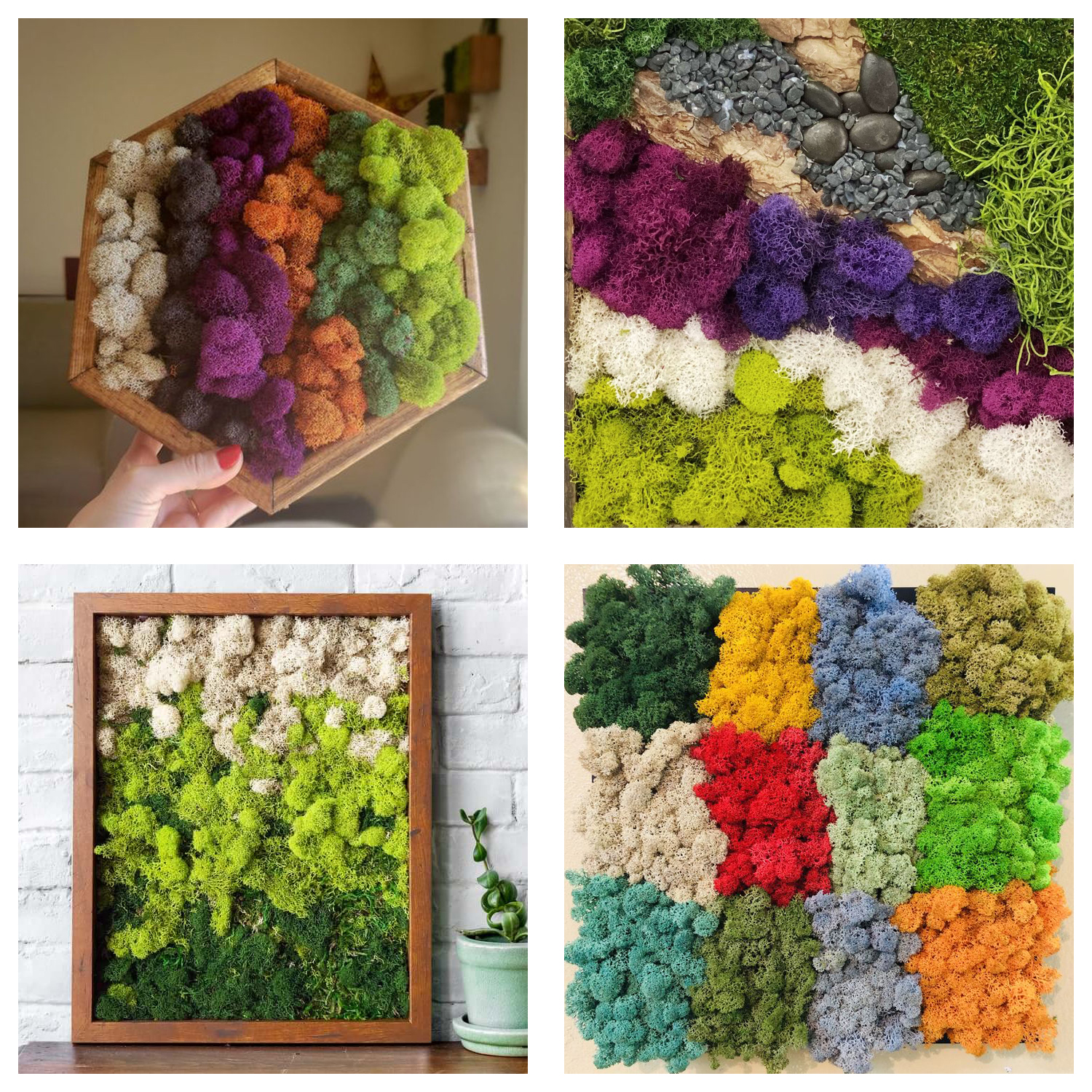 Artificial Green Plants Eterna - Terrarium Moss Art review and price