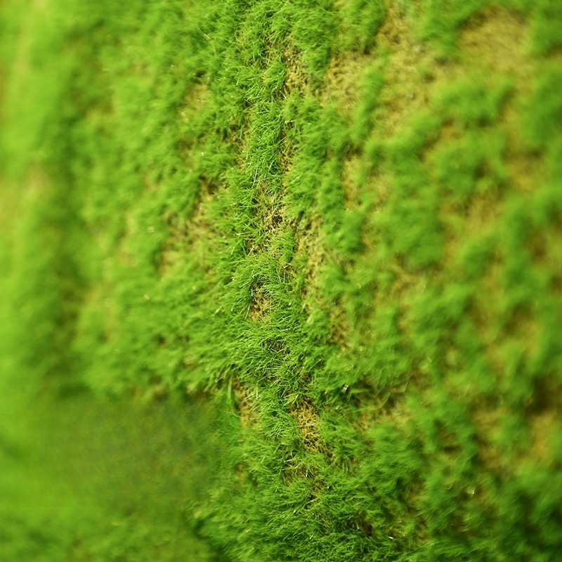Artificial Turf Moss Grassland - Terrarium Moss Art review and price