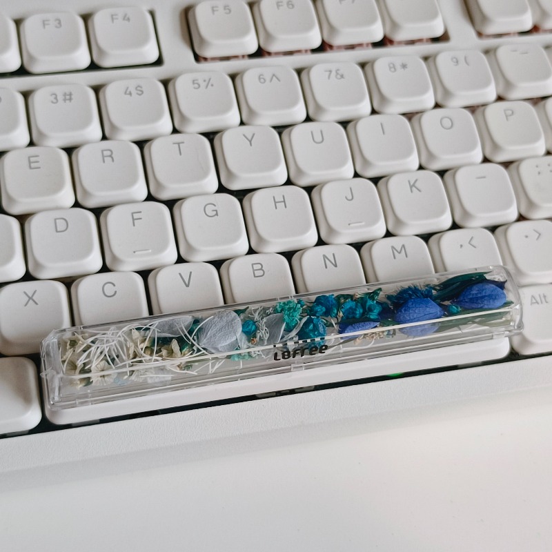 Spacebar Keycap Custom Preserv - Flower Preservation Resin review and price