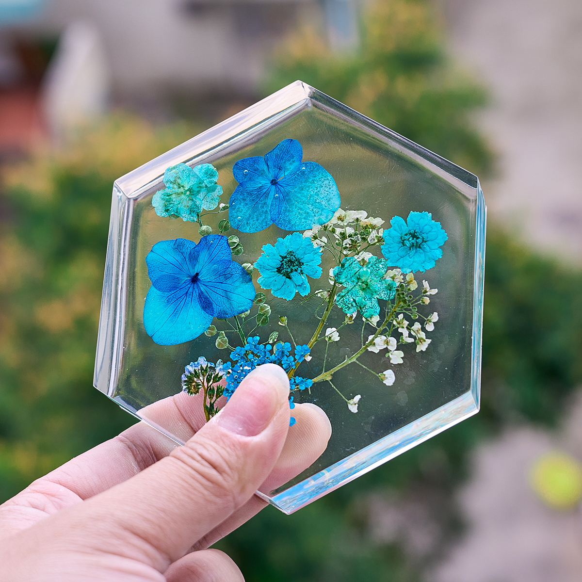 6 Holes Coaster Silicone Mold  - Silicone Mold Tray review and price