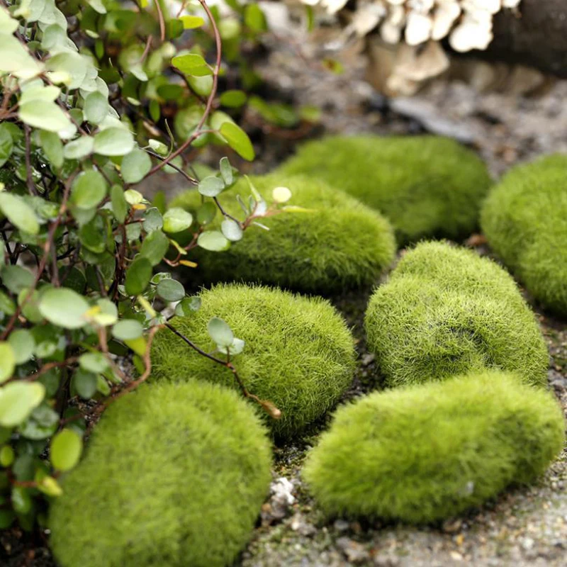 4Pcs Micro Landscape Artificia - Terrarium Moss Art review and price