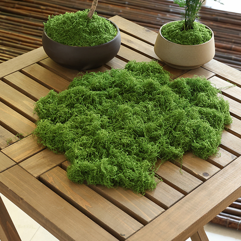 about 20g Artificial Green Pla - Terrarium Moss Art review and price