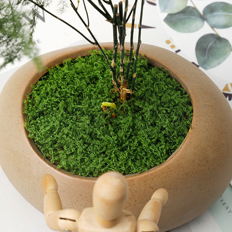 about 20g Artificial Green Pla - Terrarium Moss Art review and price