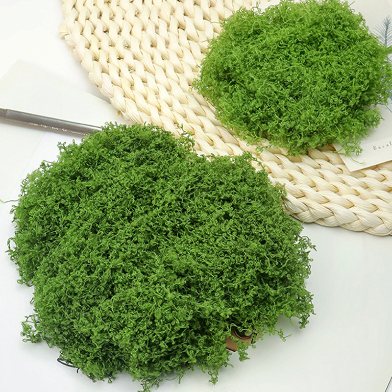 about 20g Artificial Green Pla - Terrarium Moss Art review and price