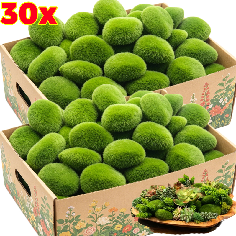 5/30pcs Simulation Moss Stone  - Terrarium Moss Art review and price