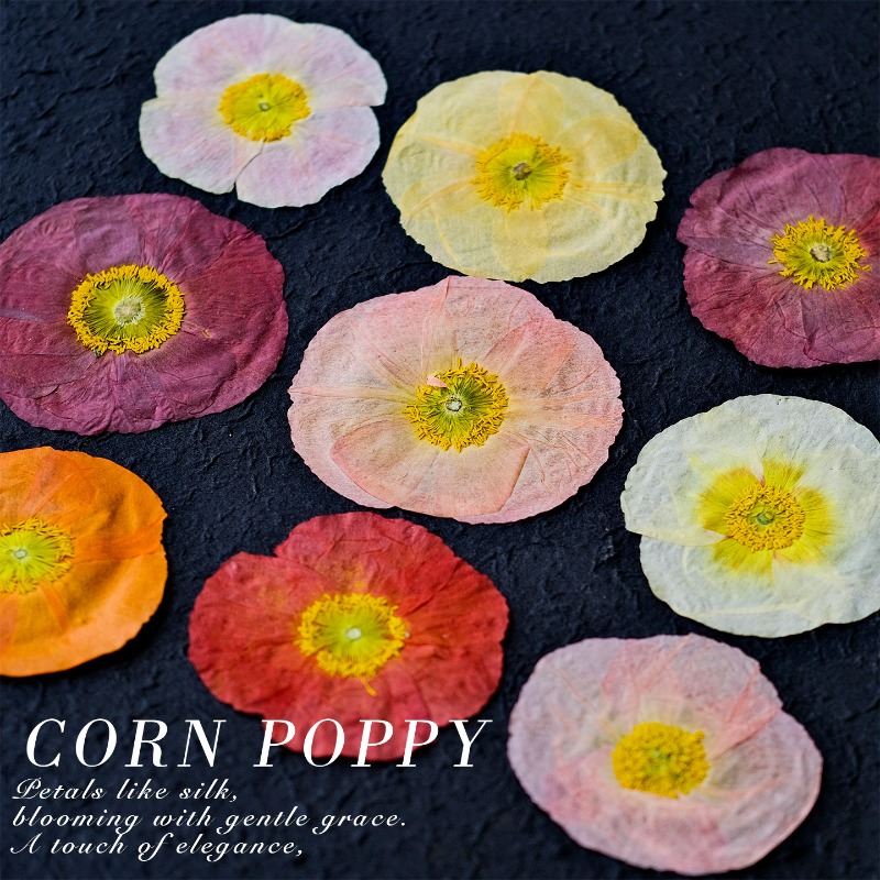 1pcs,Nature Field Poppy Presse - Resin Craft Ideas review and price