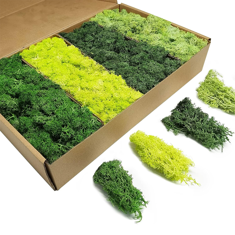 Artificial Green Plants Eterna - Terrarium Moss Art review and price