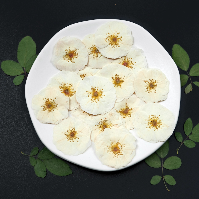 6pcs,9pcs,Nature White Rose Pr - Resin Craft Ideas review and price