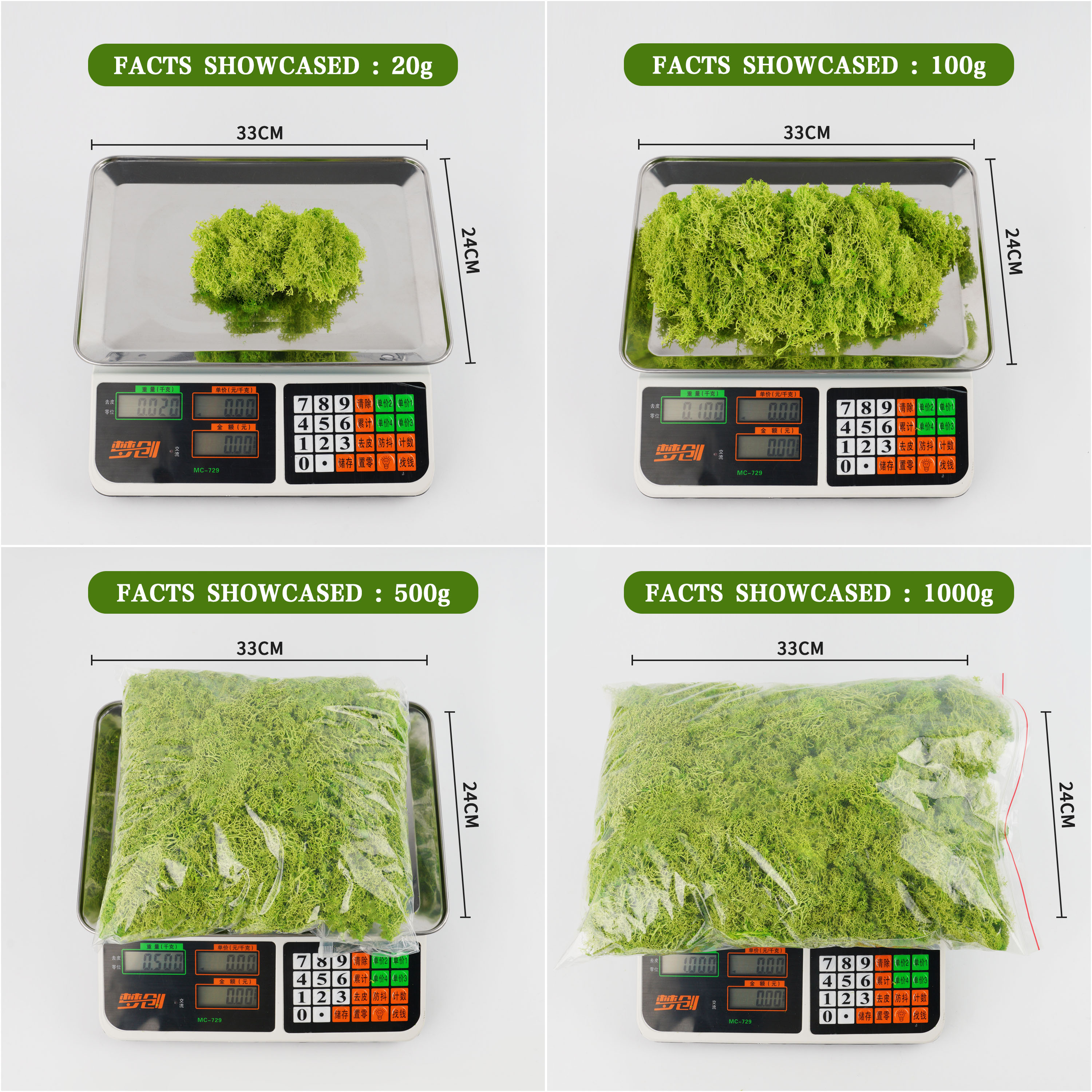 20/40/100g Eternal Life Moss D - Terrarium Moss Art review and price