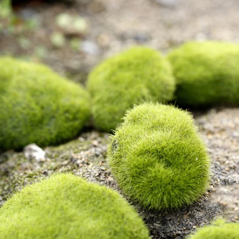 Fake Stone Artificial Moss Roc - Terrarium Moss Art review and price