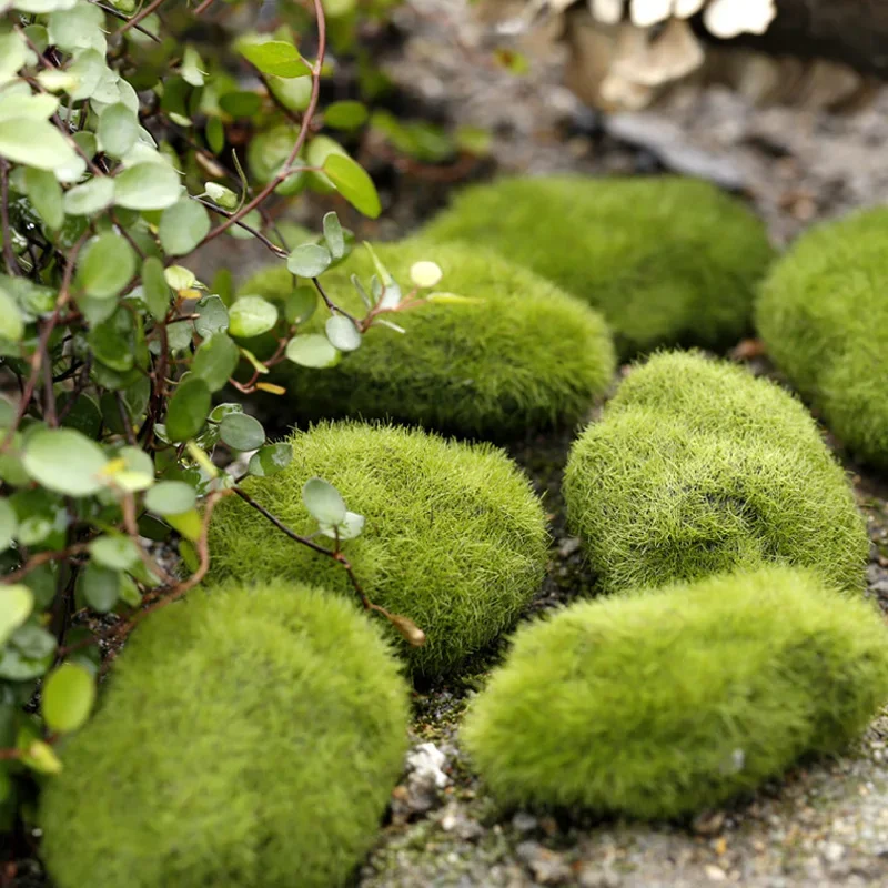 Fake Stone Artificial Moss Roc - Terrarium Moss Art review and price