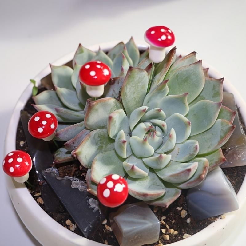 10-80PCS Mini Color Mushroom D - Terrarium Moss Art review and price