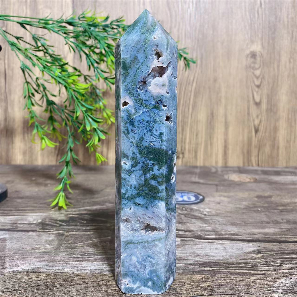 Big Green Moss Agate Druzy Nat - Terrarium Moss Art review and price