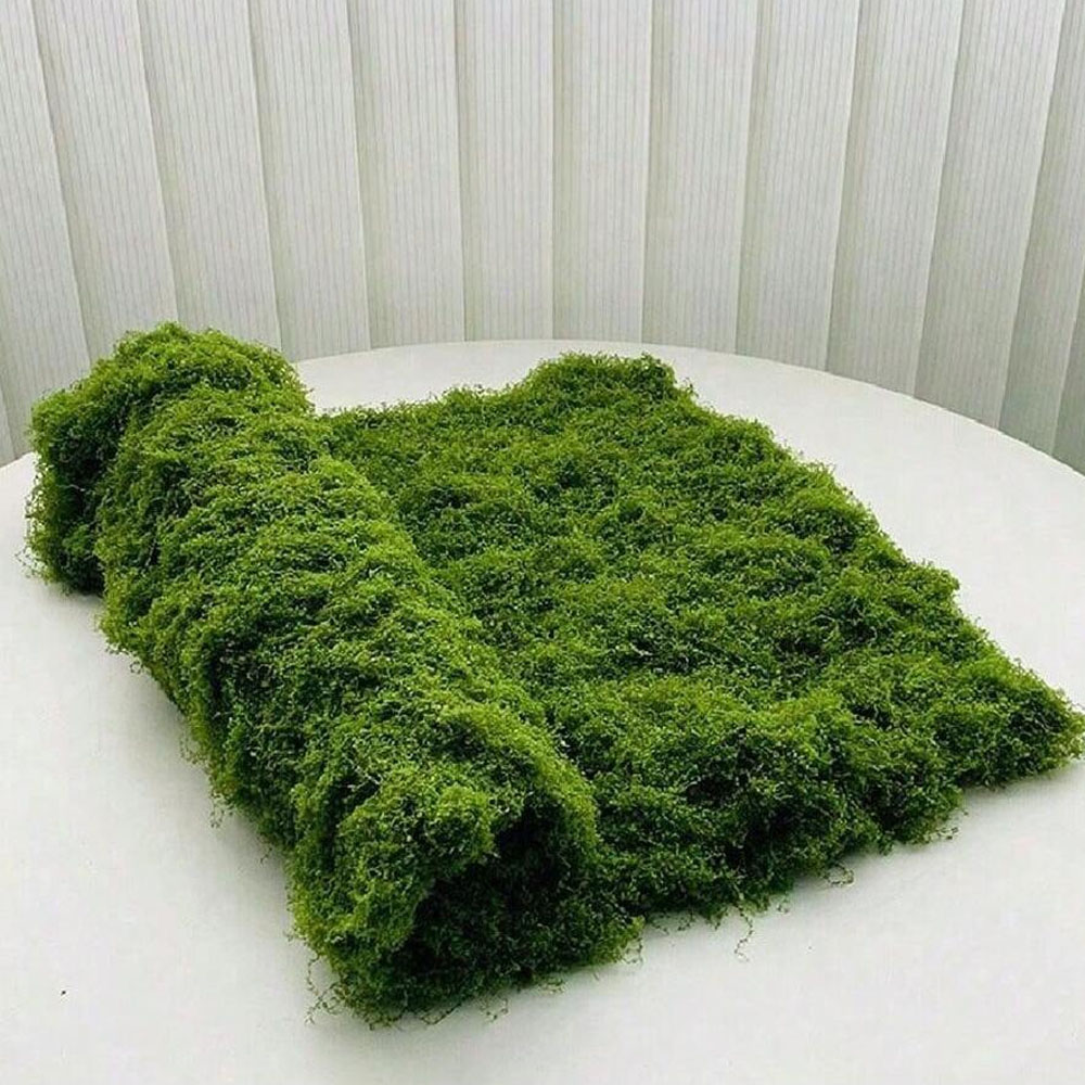 1*1m Fake Moss DIY Crafts Gras - Terrarium Moss Art review and price