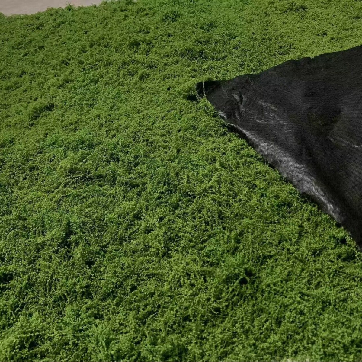 1*1m Fake Moss DIY Crafts Gras - Terrarium Moss Art review and price