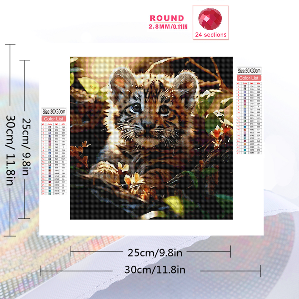 Momoart Diamond Painting Tiger - Resin Craft For Beginners review and price
