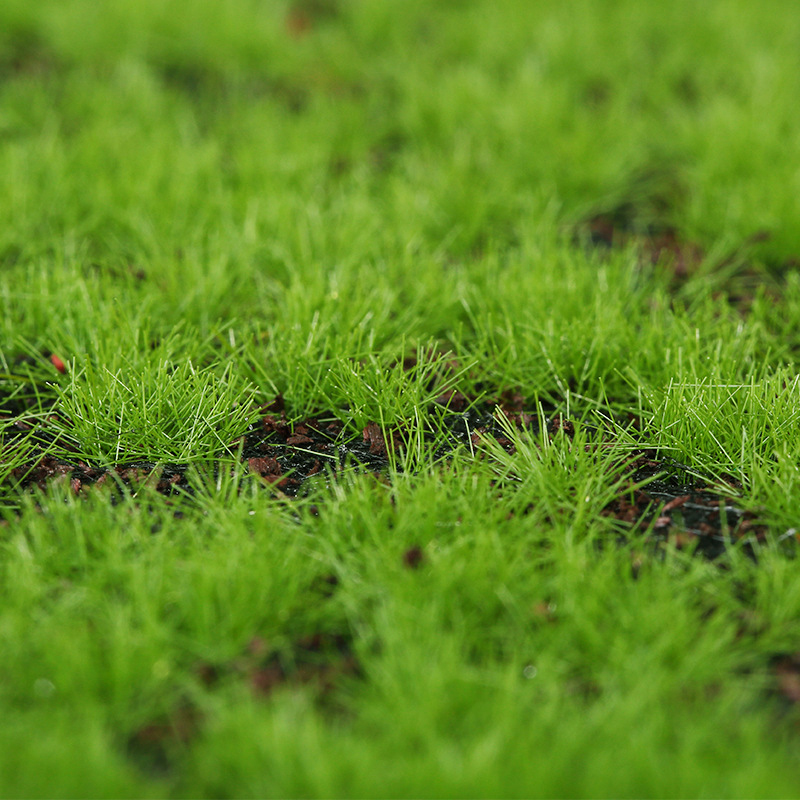 Artificial Moss Fake Green Mos - Terrarium Moss Art review and price
