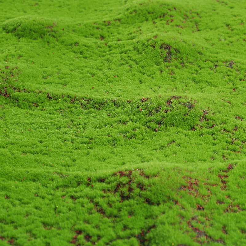 Artificial Moss Fake Green Mos - Terrarium Moss Art review and price