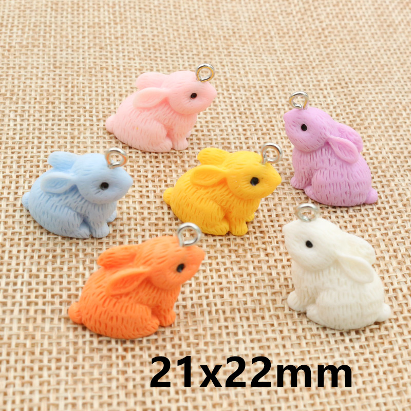 10PCS Resin Pendant Charms Rab - Resin Craft Supplies review and price