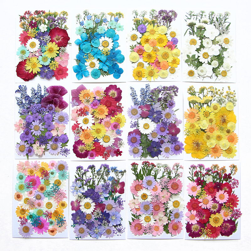 6pcsDried Flowers Real Natural - Flower Preservation Resin review and price