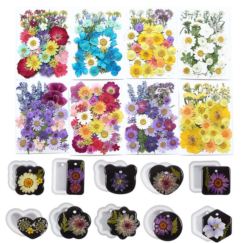 6pcsDried Flowers Real Natural - Flower Preservation Resin review and price