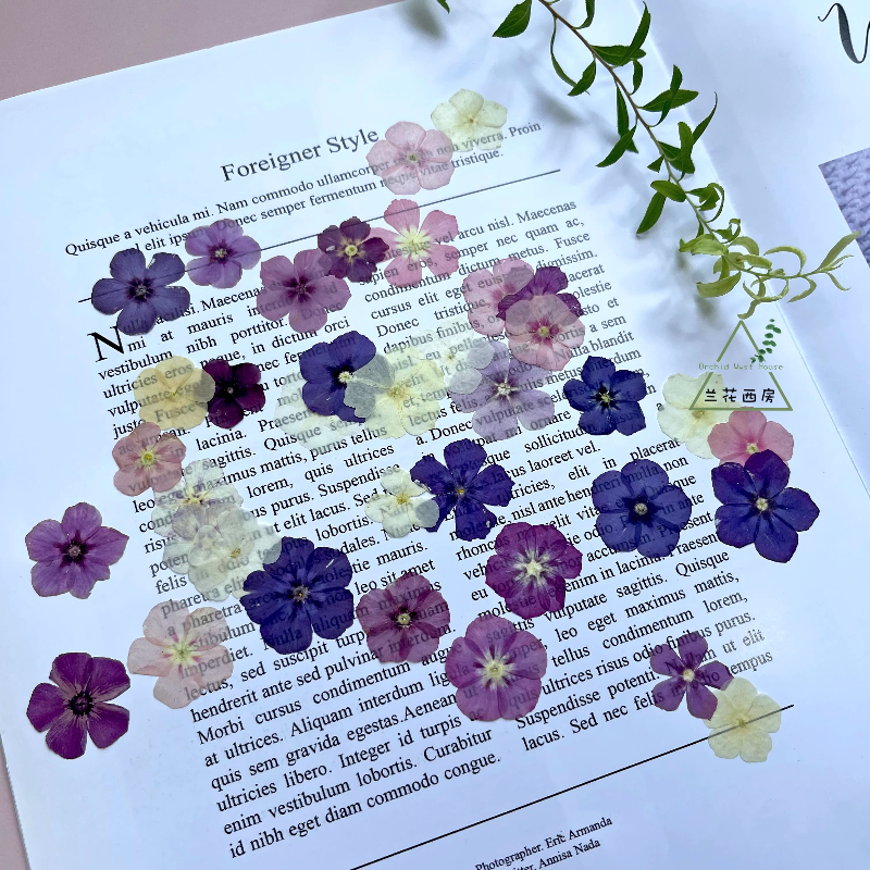12pcs,Semi-Transparent Niche P - Resin Craft Ideas review and price